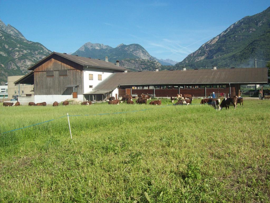 Agriturismo La Grange Pont-Saint-Martin Exterior photo